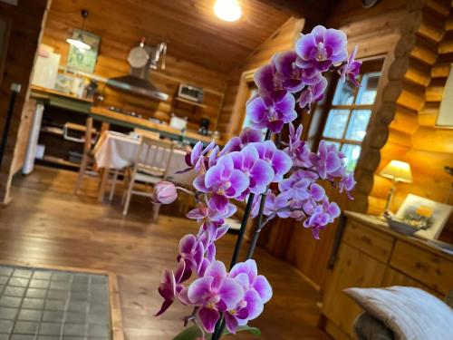 Chalet Birdieferienhaus