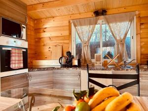 Chalet bois jacuzzi