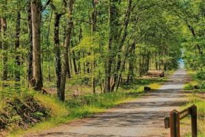 Chalet Boréal