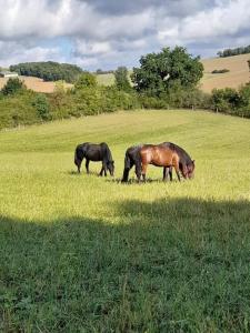 Chalet campagne - Vue Imprenable