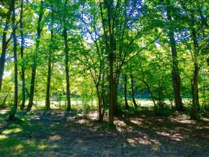 Chalet Clarimaud