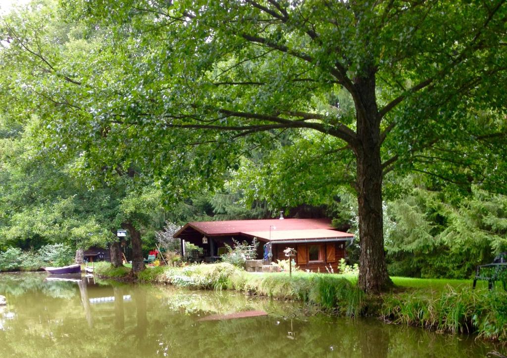 Chalet Chalet Clarimaud Chemin du Ruisseau 68210 Bréchaumont