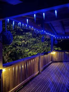 Chalet cocooning pleine nature