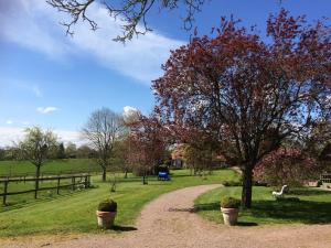 Chalet Chalet Colvert 56, Chemin des Thylleres 14340 Beaufour Normandie