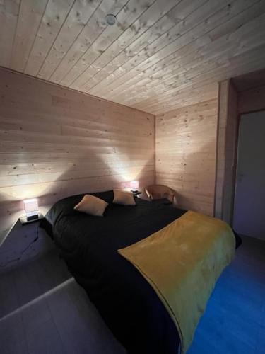 Chalet contemporain dans son écrin de verdure