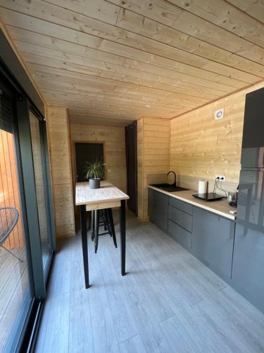 Chalet contemporain dans son écrin de verdure