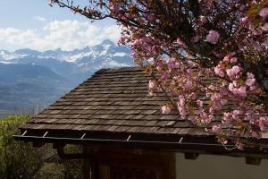 Chalet cosy proche Tramway du Mont-Blanc et centre