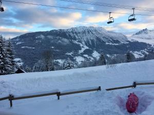 Chalet Chalet de 4 chambres avec jardin et wifi a La Lechere a 1 km des pistes 67 Rue de Chantemerle Auvergne-Rhône-Alpes, Savoie 73260 La Léchère Rhône-Alpes