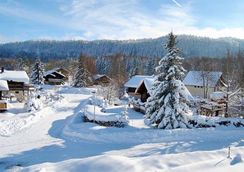 Chalet de 6 chambres avec jardin a Cerniebauda