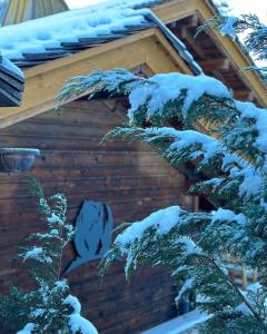 Chalet de l'Ours : 4 étoiles-spa-proche des pistes