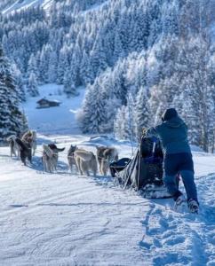 Chalet Chalet de L'Ours Blanc 1175 Route de Cupelin 74170 Saint-Gervais-les-Bains Rhône-Alpes