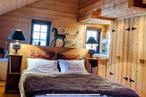 Chalet de luxe avec jacuzzi Hammam et billard