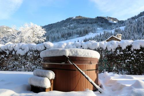 Chalet de montagne style savoyard, vue sur pistes