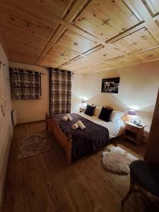 Chalet de montagne style savoyard, vue sur pistes