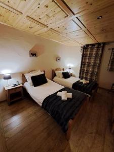 Chalet de montagne style savoyard, vue sur pistes