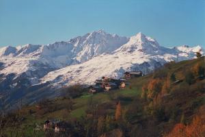 Chalet Chalet des Laix Les Laix 73700 La Rosière Rhône-Alpes