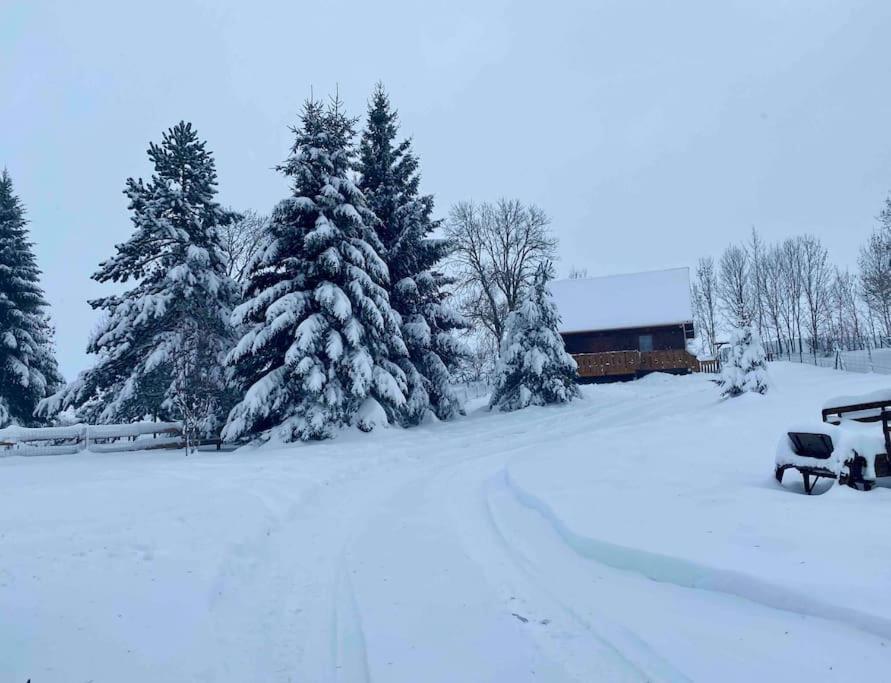 Chalet Chalet Des Marmottes du Sancy Route de Bort 63850 Saint-Genès-Champespe