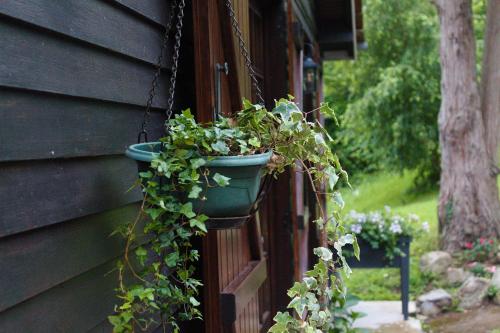 Chalet des Sept Pins