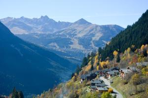 Chalet des Trappeurs Coeur Vanoise 16 persons