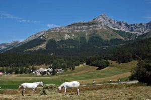 Chalet du champ Martel