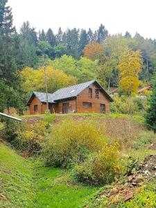 Chalet Chalet du champs des semeaux 85 Rue de la Foret 67130 Wisches Alsace