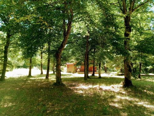 Chalet en forêt, brame du cerf