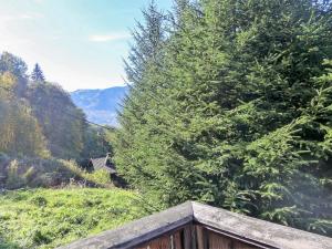 Chalet Evasion