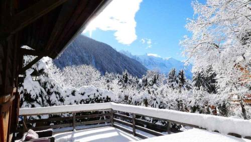 Chalet Falcon - Spacious Argentiere Chalet with Hot Tub