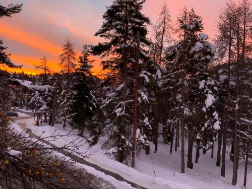 CHALET FAMILIAL AURON