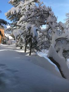 CHALET FAMILIAL AURON
