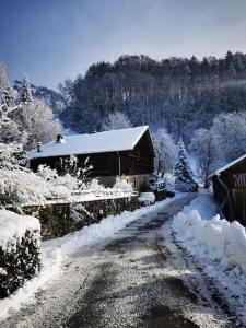 Chalet familial authentique avec jardin/cheminée
