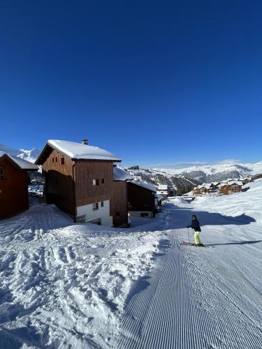 Chalet famillial sur les pistes / Dergi - La Plagne