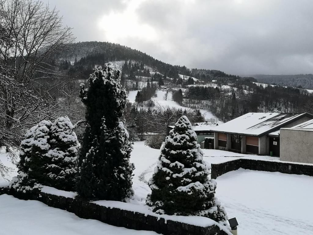 Chalet indépendant proche centre ville