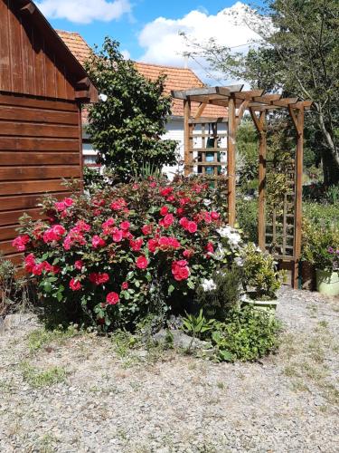 Chalet insolite