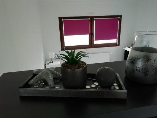 Chalet Knut