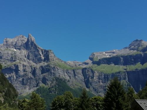 Chalet la corne du chamois
