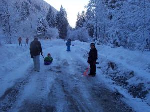 Chalet CHALET LACHAT 53 Impasse de Lachat 74740 Sixt-Fer-à-Cheval Rhône-Alpes