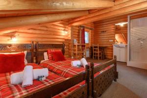 Chalet le Baikal 10 personnes, Près des pistes