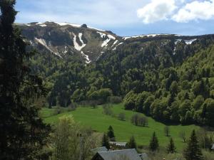 Chalet chalet le balcon du Sancy-location du samedi au samedi route du sancy les egravats 63240 Le Mont-Dore Auvergne