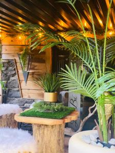 Chalet le Bô & Spa