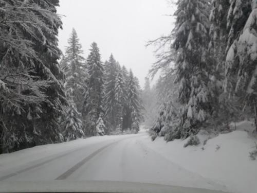 Chalet le Chouca