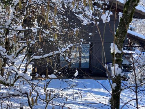 Chalet Le Grand Paddock