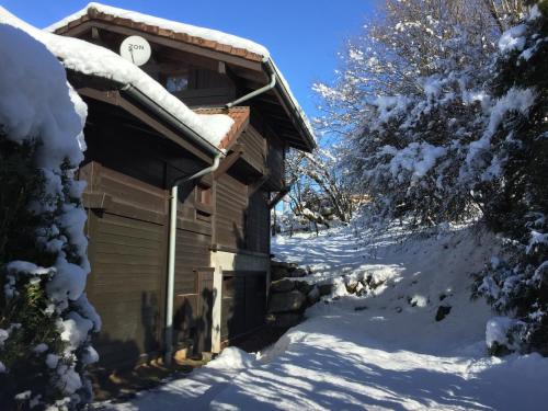 Chalet Le Grand Paddock