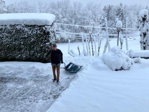 Chalet Le Grand Paddock