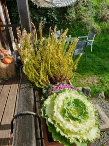 Chalet le logis des autre