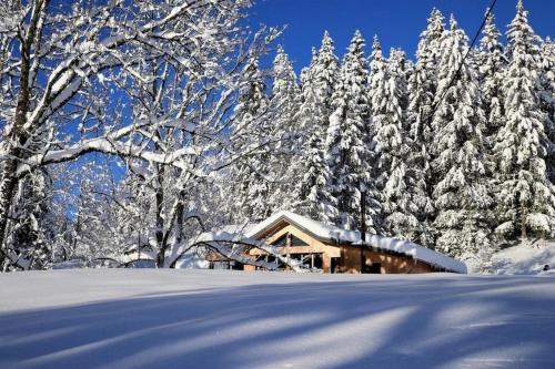 Chalet Le Petit Jura