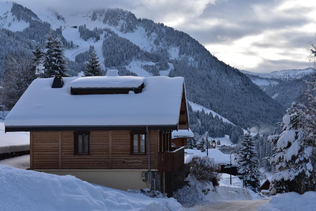 Chalet Chalet le Petit Ramoneur 235 Route des Freinets 74390 Châtel