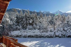 Chalet le Tricouni