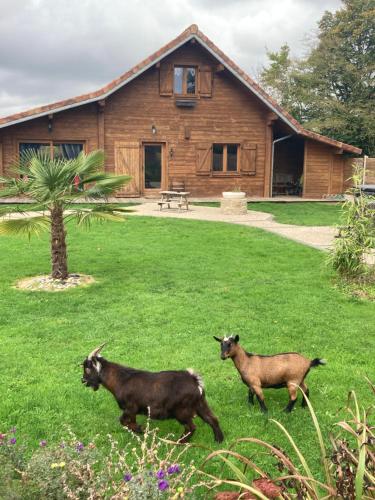 Chalet Le Trou Du Charme