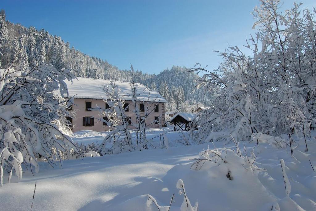 Chalet Les Carroz d'Arâches, 5 pièces, 8 personnes - FR-1-572-32 74300 Arâches-la-Frasse